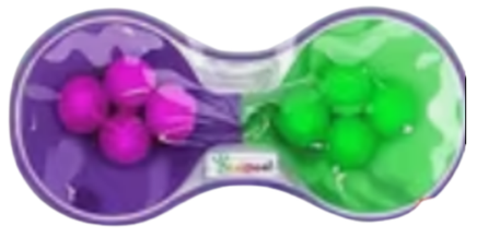 GEL BEAD SENSORY STRIPS